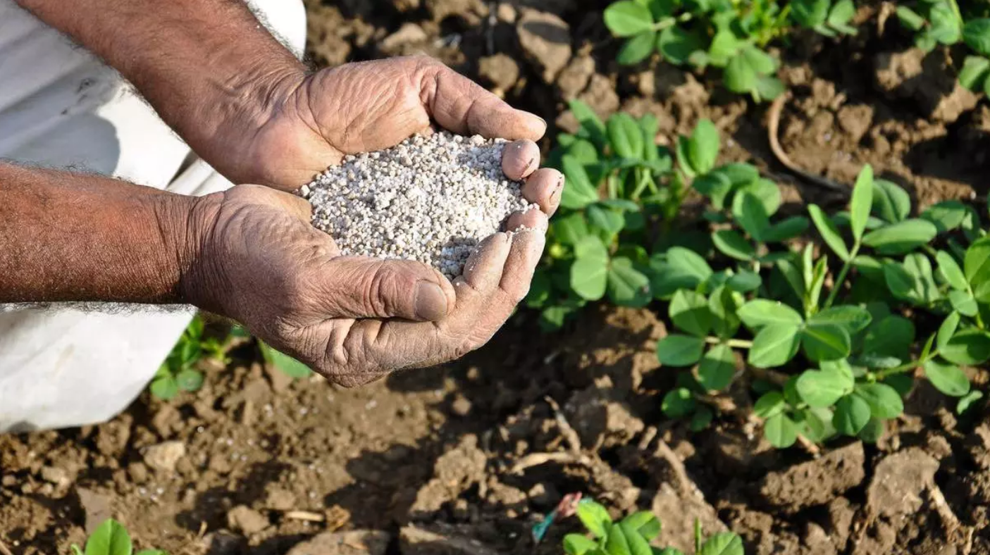 Crop and soil visual for agriculture mineral solutions